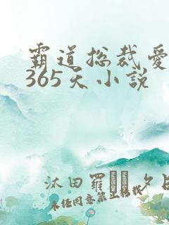 霸道总裁爱上我365天小说