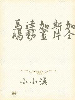 马达加斯加的企鹅动画片全集