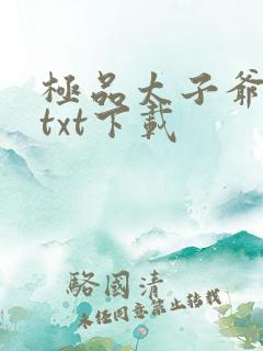 极品太子爷李辰txt下载