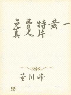 免费特黄一级大真人片