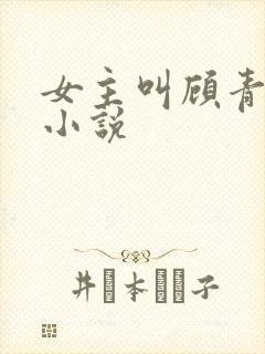 女主叫顾青岚的小说