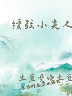 续弦小夫人正版