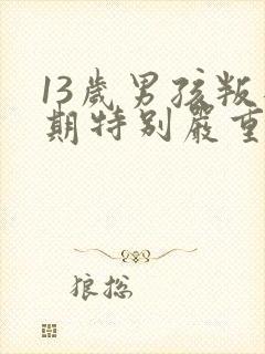 13岁男孩叛逆期特别严重怎么办