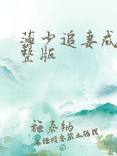 薄少追妻成瘾完整版