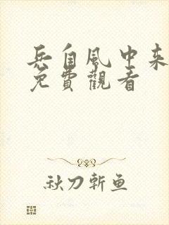 兵自风中来全剧免费观看