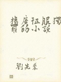 杨广征服独孤伽罗的小说