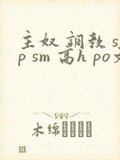主奴 调教 sp sm 高h po文 小说