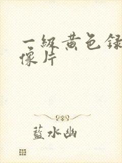 一级黄色录像录像片