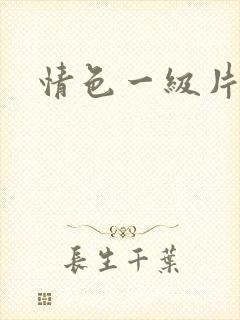 情色一级片