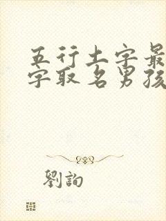 五行土字最旺的字取名男孩子