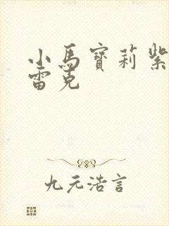 小马宝莉紫悦提雷克