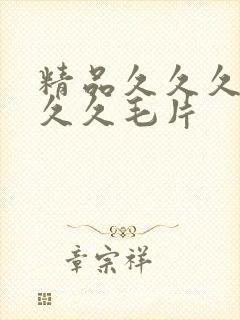 精品久久久久久久久毛片