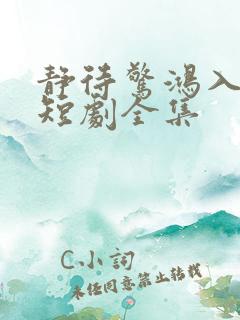 静待惊鸿入翁慌短剧全集