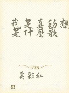 我是真的想你了是什么歌