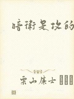 暗卫是攻的小说