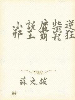 小说废柴逆天:邪王霸宠狂妃