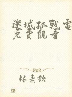 迷城孤战电视剧免费观看