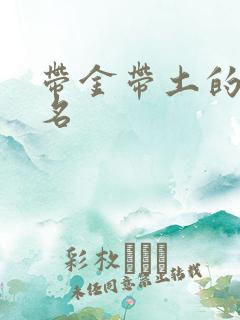 带金带土的男孩名