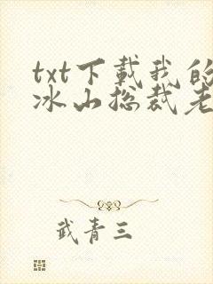 txt下载我的冰山总裁老婆
