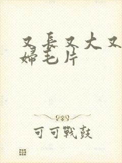 又长又大又黄少妇毛片