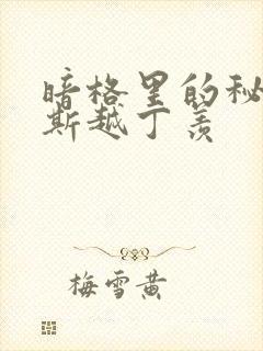 暗格里的秘密周斯越丁羡