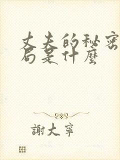 丈夫的秘密大结局是什么