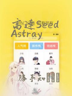 高达Seed Astray