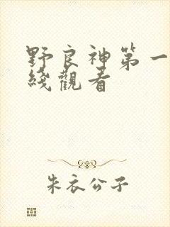 野良神第一季在线观看