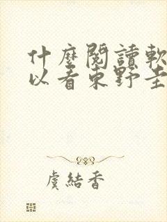 什么阅读软件可以看东野圭吾的书