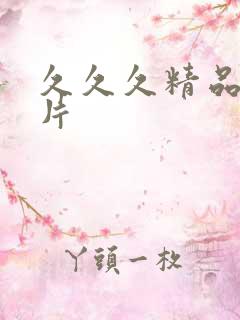 久久久精品国产片