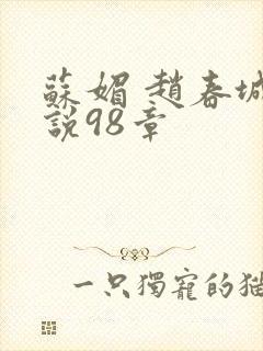 苏媚 赵春城小说98章
