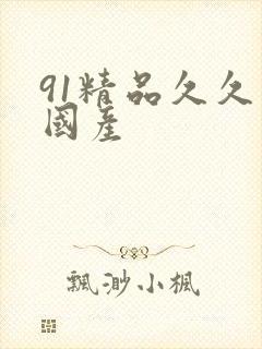 91精品久久久国产