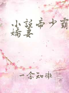 小说帝少霸宠小娇妻
