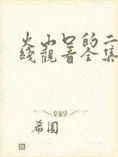 火山口的二人在线观看全集