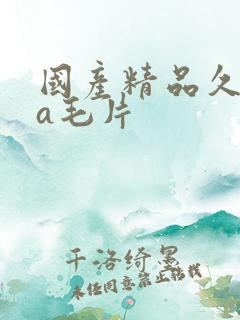 国产精品久久久a毛片