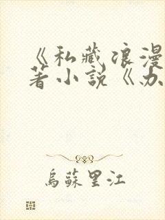 《私藏浪漫》原著小说《办公室隐婚》