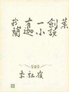 我有一剑叶观纳兰迦小说