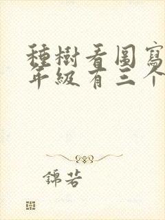 种树看图写话二年级有三个小朋友