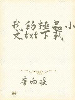 我的极品小姨全文txt下载