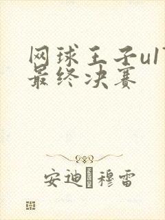 网球王子u17最终决赛