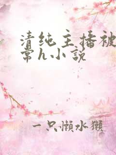 清纯主播被脔日常h小说