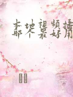 本地视频播放器哪个最好用