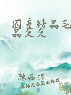 国产精品毛片极品久久