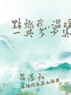 点燃我,温暖你一共多少集