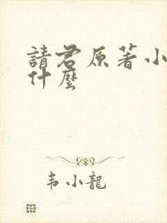 请君原著小说叫什么