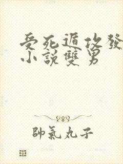 受死遁攻发疯的小说双男