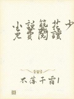 小说簪花少年郎免费阅读