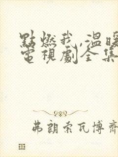 点燃我,温暖你电视剧全集免费