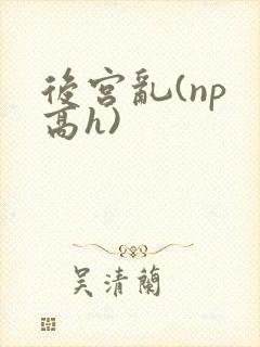 后宫乱(np 高h)