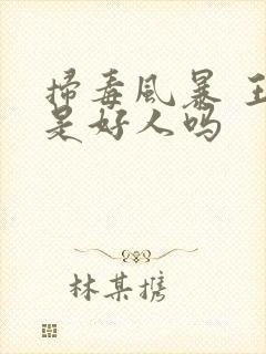 扫毒风暴 王奇是好人吗